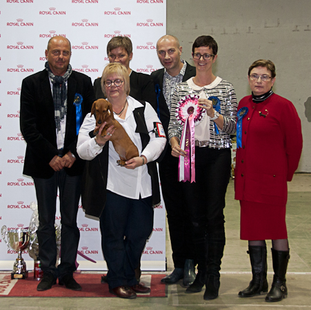 Pääerikoisnäyttely 26.10.2013 - BIS1 - LKK Naa-Naan Ilotulitus