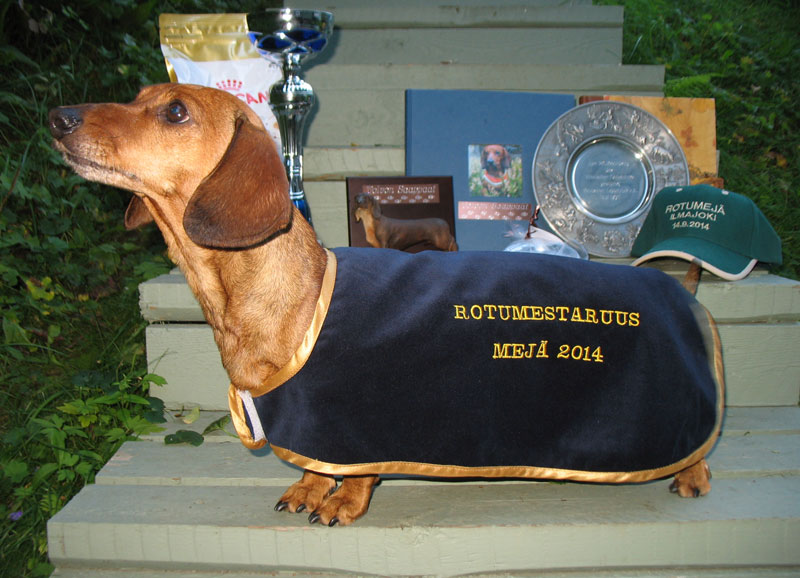 meja rotumestari 2014