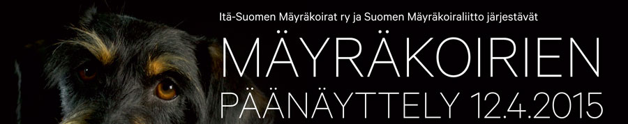 Mäyräkoirien päänäyttely 12.4.2015