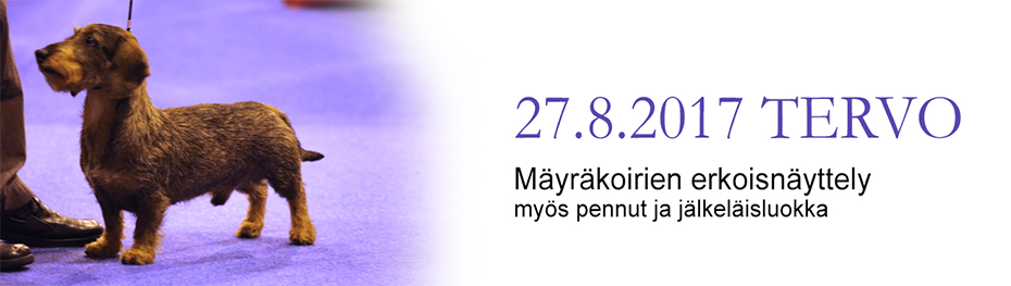 erikoisnayttely tervo 2017