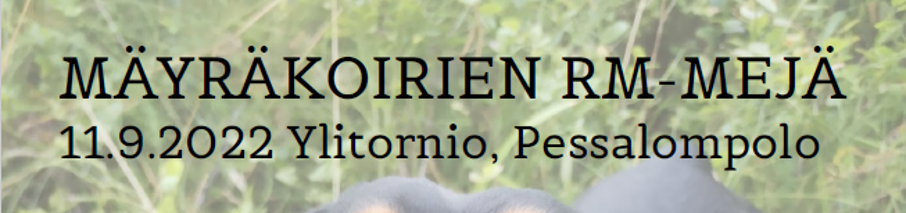 RM-MEJÄ 2022