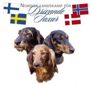 Pohjoismaiden Ajomaaottelu 7.2.2026