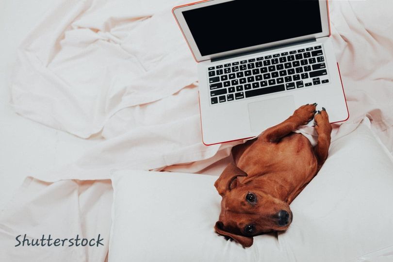 Muista maksaa jäsenmaksu!