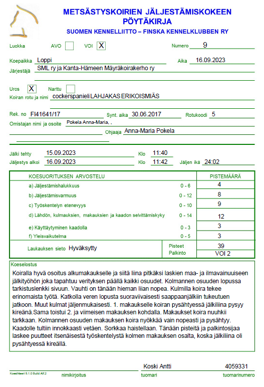 LAHJAKAS ERIKOISMIÄS 11V