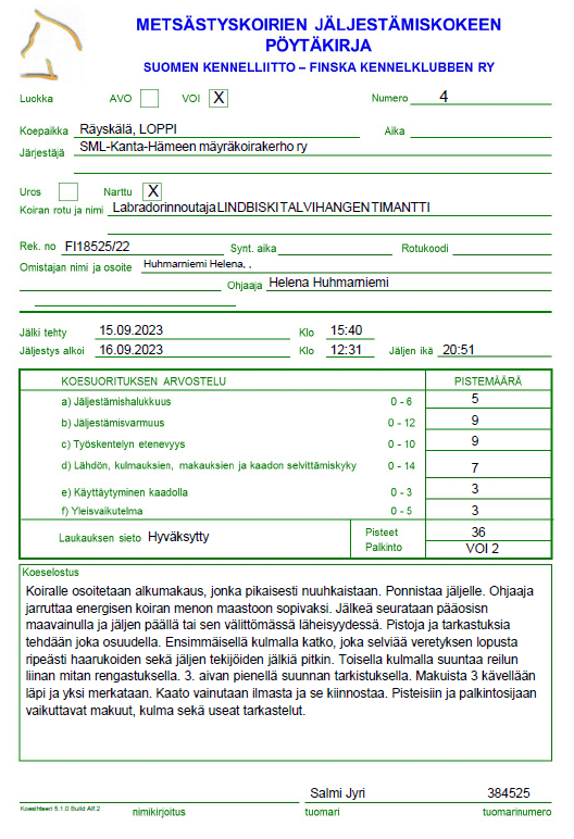 LINDBISKI TALVIHANGEN TIMANTTI 12N