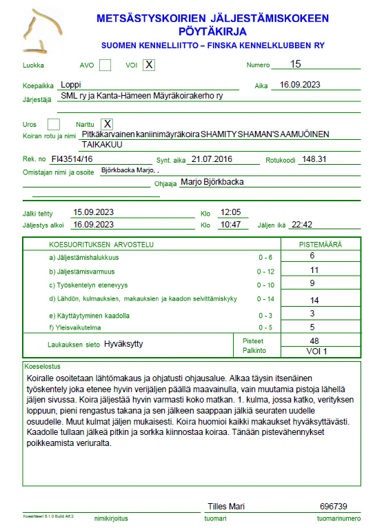SHAMITY SHAMANS AAMUÖINEN 1V