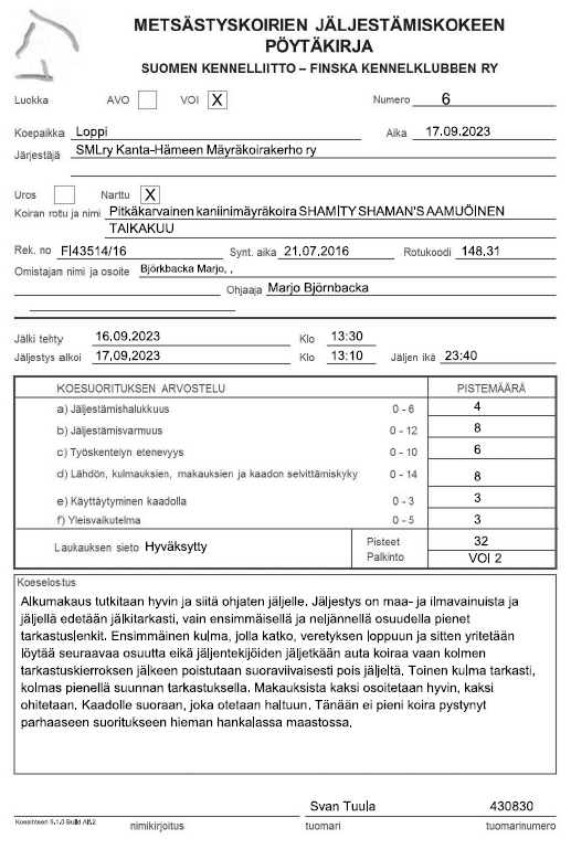 SHAMITY SHAMANS AAMUÖINEN TAIKAKUU