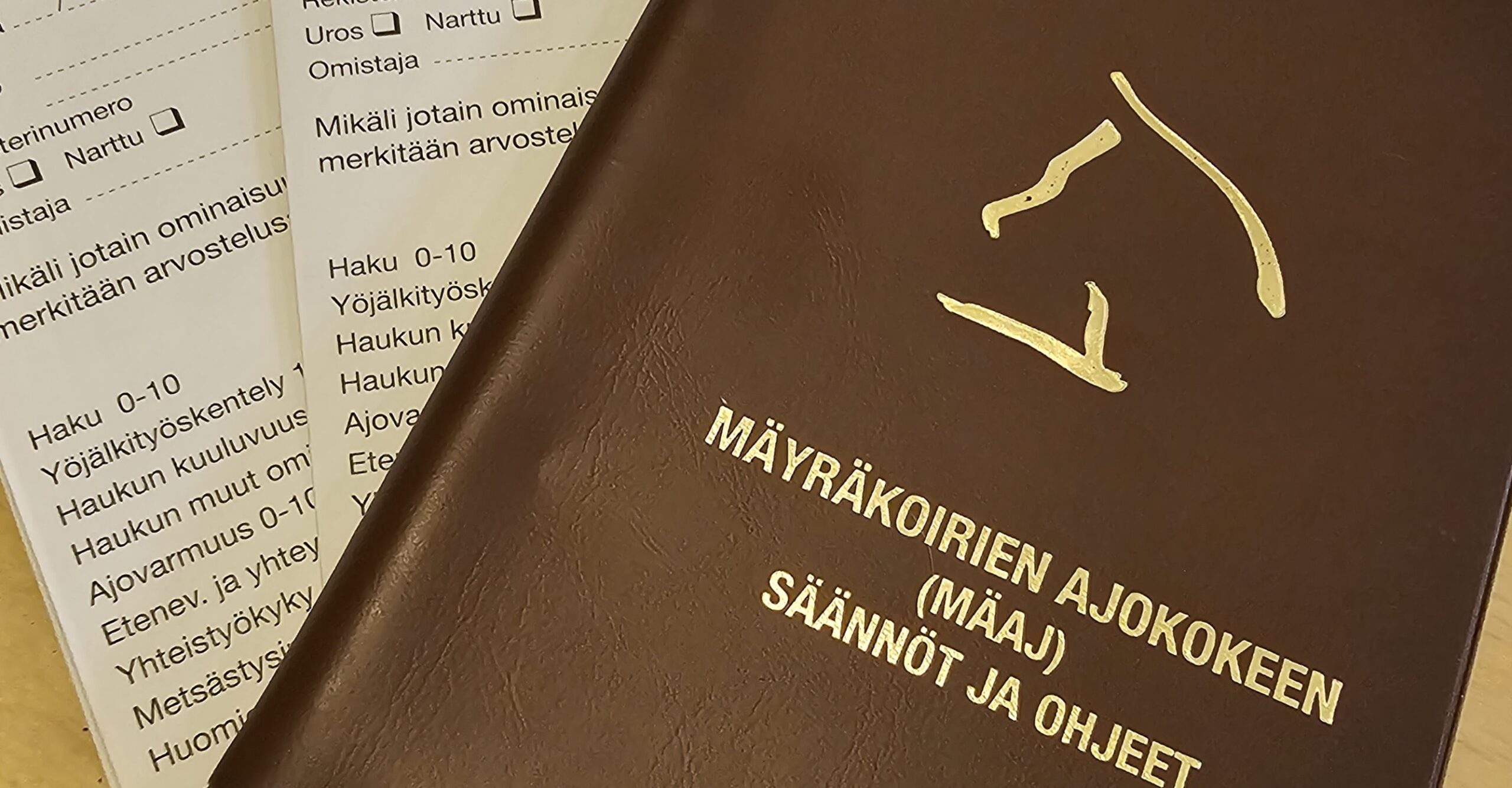 MÄAJ palkintotuomareiden jatkokoulutus 13.8.2023 (etä)