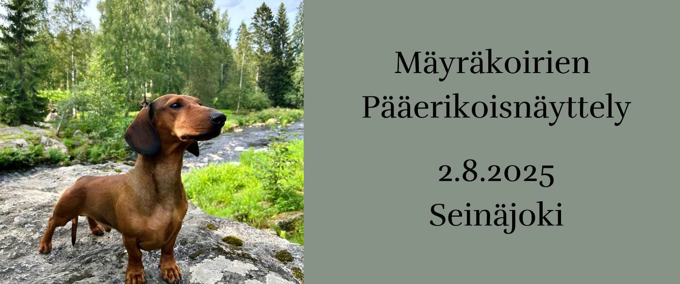 pääerkkari yo 2025