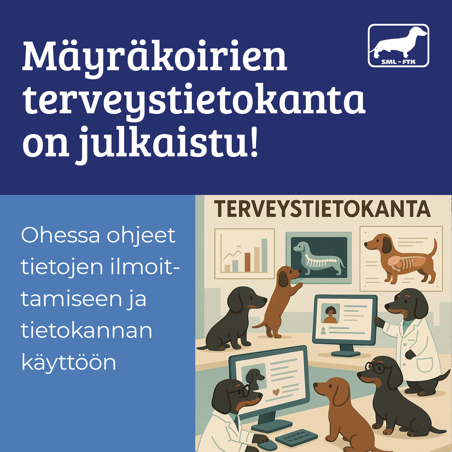 FB terveystietokanta kuva