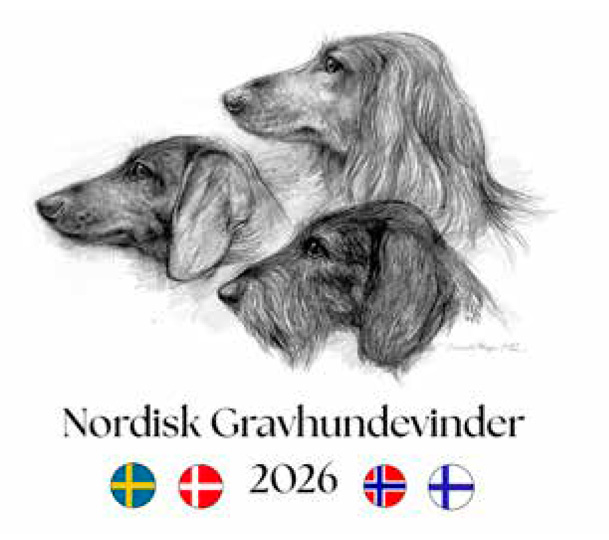 Muistutus: Mäyräkoirien pohjoismainen voittajanäyttely 2026 Tanskassa
